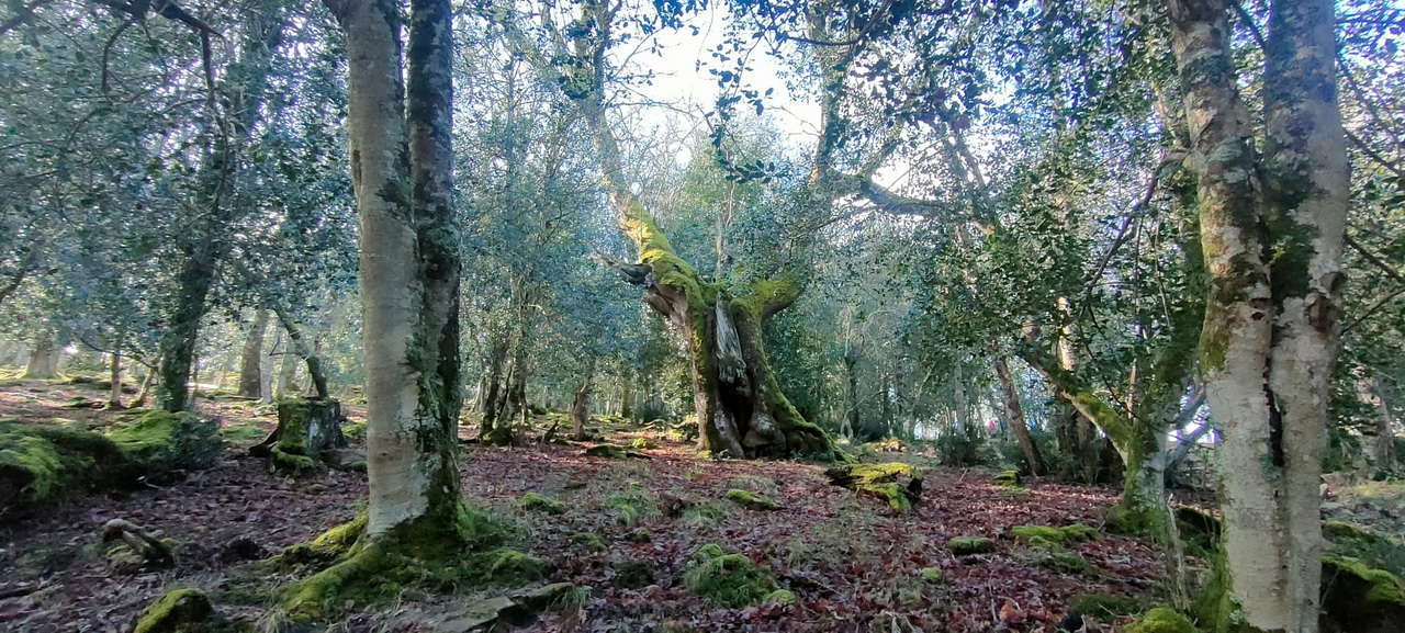 WhatsApp Image 2026-03-08 at 21.27.46 (2)